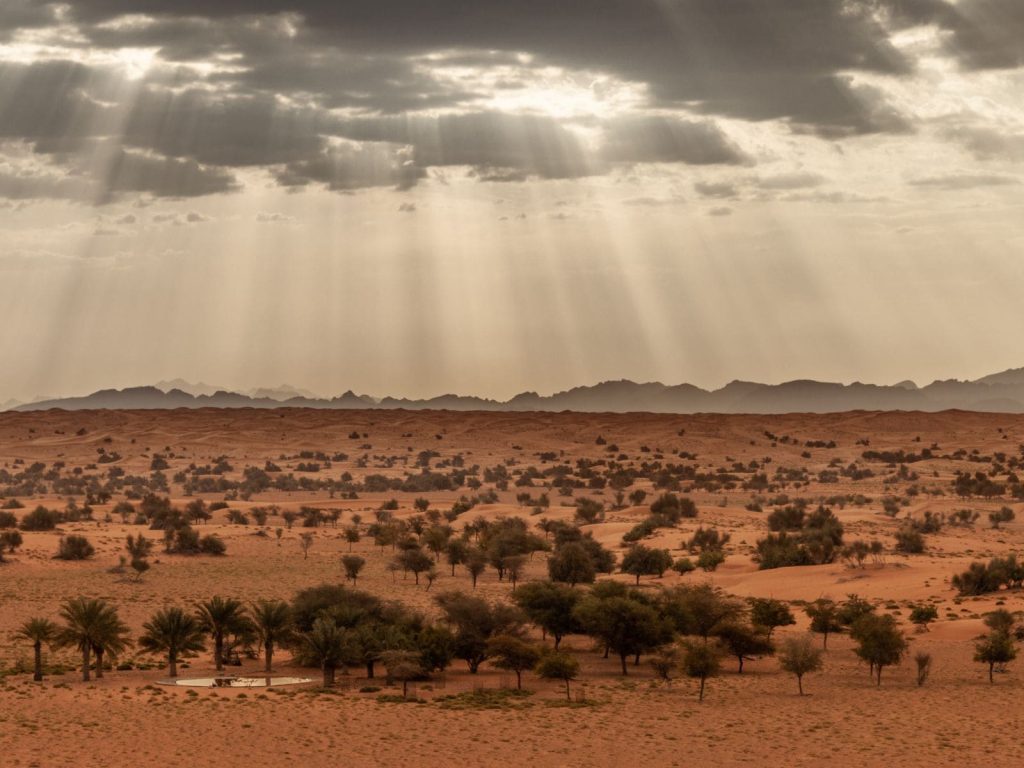 Por qué hacer un safari en el desierto de Dubai