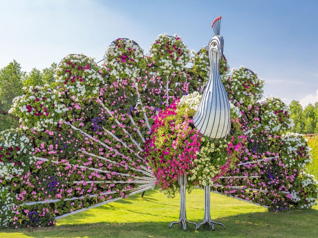 Dubai Miracle Garden