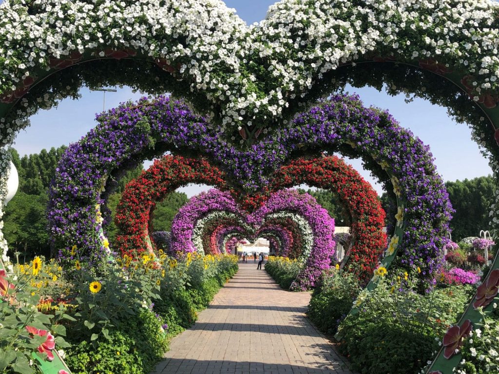 Dubai Miracle Garden, que visitar en enero