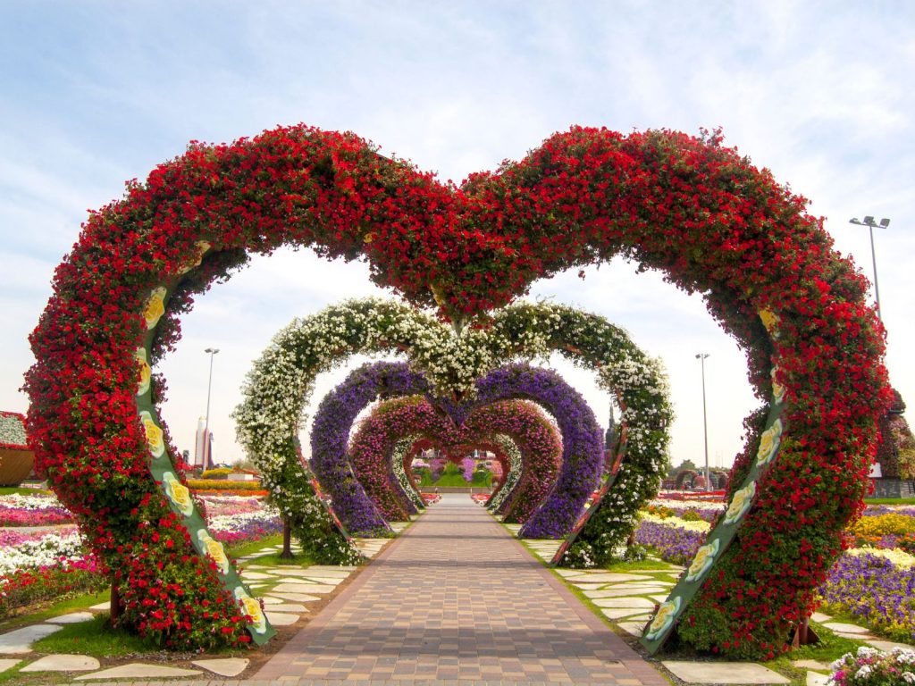 Dubai Miracle Garden, como una de las cosas para ver en Dubai en 3 días